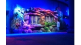 上海欢乐谷海洋奇幻馆